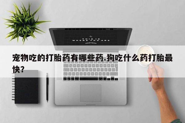 卖打胎药流产药微信宠物吃的打胎药有哪些药.狗吃什么药打胎最快？