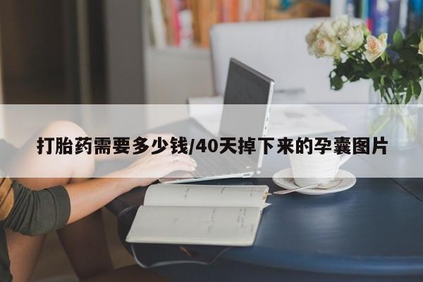 卖打胎药流产药微信打胎药需要多少钱/40天掉下来的孕囊图片