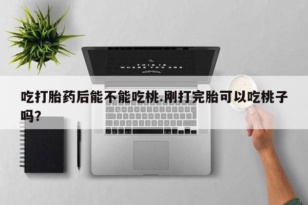 卖打胎药流产药微信吃打胎药后能不能吃桃.刚打完胎可以吃桃子吗？