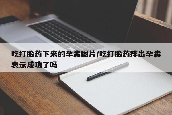 卖打胎药流产药微信吃打胎药下来的孕囊图片/吃打胎药排出孕囊表示成功了吗